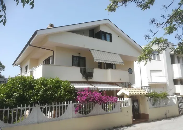 Il Cavalluccio Marino Montesilvano Marina